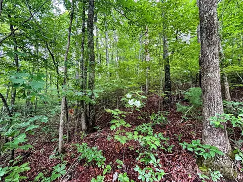 Azalea Way, Saluda, NC 28773 photo 8