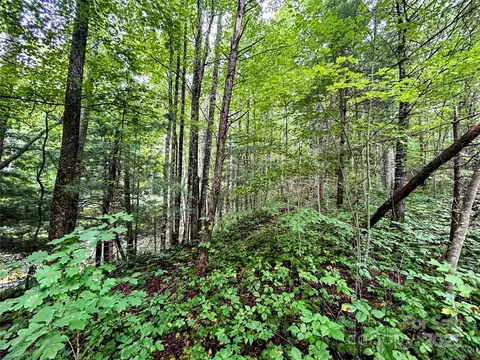 Azalea Way, Saluda, NC 28773 photo 5