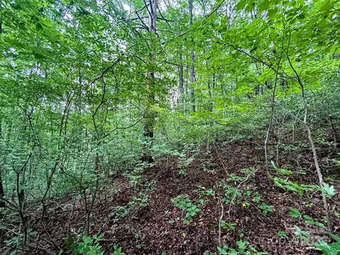 Azalea Way, Saluda, NC 28773 photo 9
