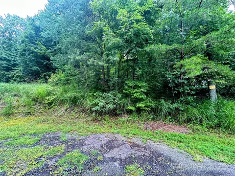 Azalea Way, Saluda, NC 28773