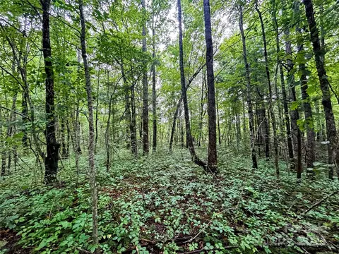 Azalea Way, Saluda, NC 28773 photo 4