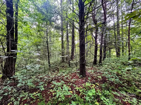 Azalea Way, Saluda, NC 28773 photo 9