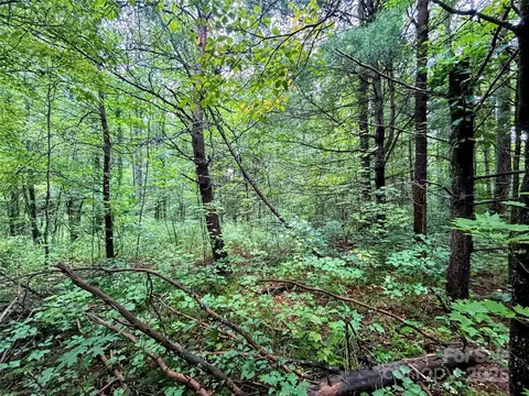 Azalea Way, Saluda, NC 28773 photo 8