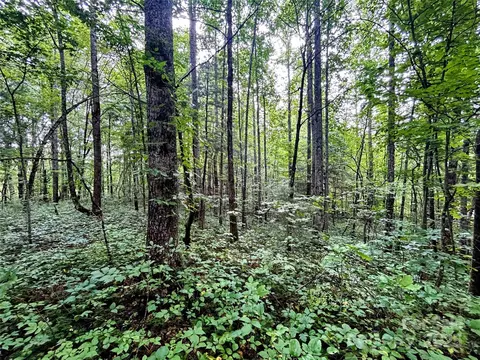 Azalea Way, Saluda, NC 28773 photo 10