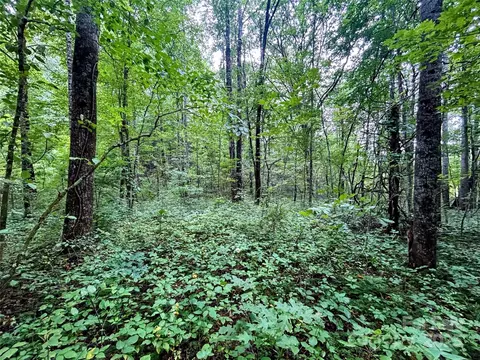Azalea Way, Saluda, NC 28773 photo 5