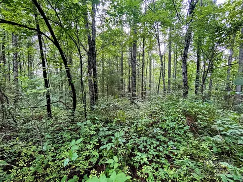 Azalea Way, Saluda, NC 28773 photo 6