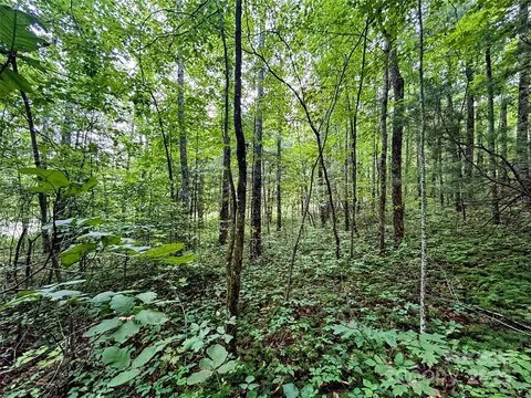 Azalea Way, Saluda, NC 28773 photo 3