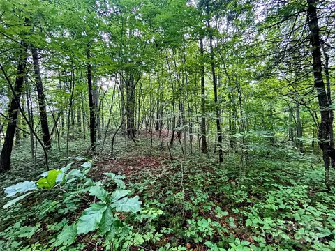 Azalea Way, Saluda, NC 28773 photo 11