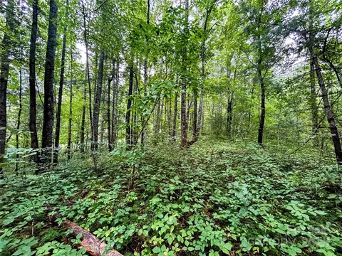 Azalea Way, Saluda, NC 28773 photo 7
