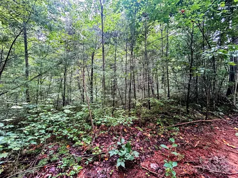 Azalea Way, Saluda, NC 28773 photo 12