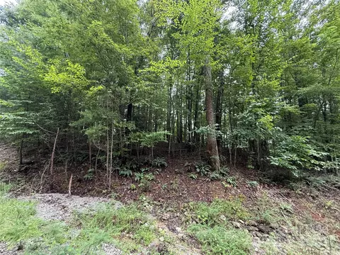 0 Woodchuck 111 Ln #111, Marion, NC 28752