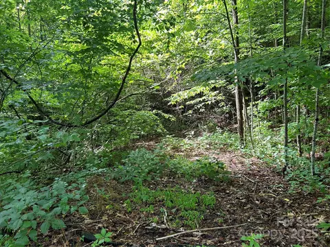 0 Loon 50 Ln #50, Whittier, NC 28789