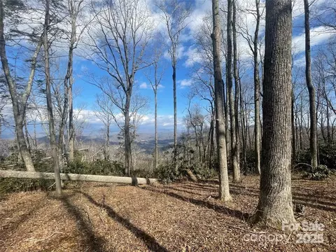 6 Laurel Ledge 17 Way #17, Fletcher, NC 28732 photo 2