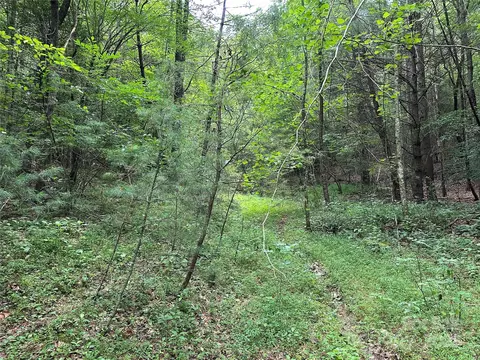 00 Benny Parsons Rd, Millers Creek, NC 28651