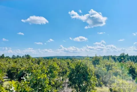 27 5 Ac Tract Gun O Field Rd, Wallace, SC 29896