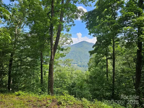 000 Big Boulder 9 Rdg #9, Maggie Valley, NC 28751