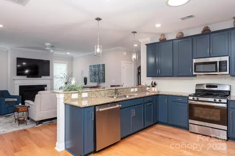 11728 Mount Argus Dr, Cornelius, NC 28031 photo 10