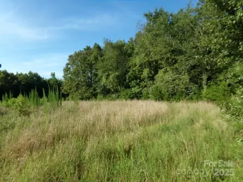 Painter Road, Mooresboro, NC 28114