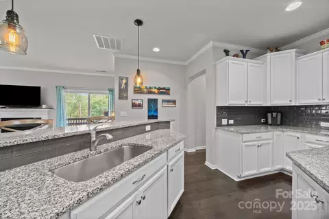 18804 Avery Park Dr, Cornelius, NC 28031 photo 18