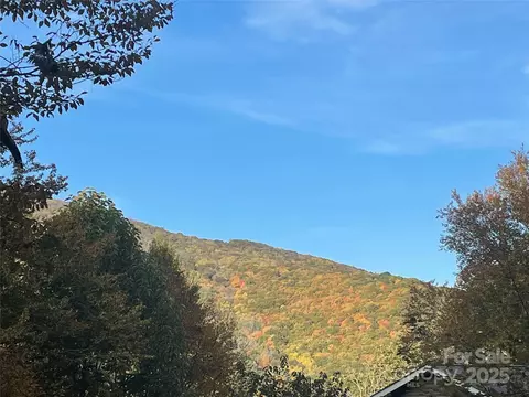 96 Chestnut 96 Ln #96, Mars Hill, NC 28754
