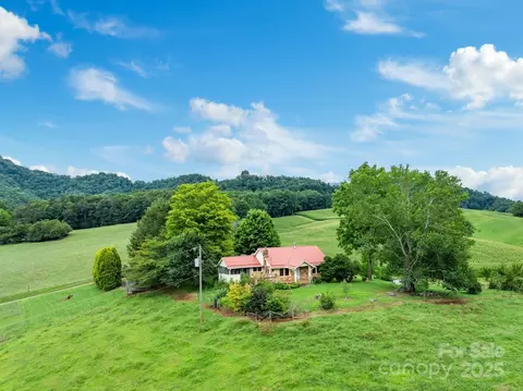 61 Brooks Branch Rd, Leicester, NC 28748