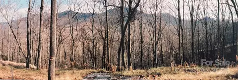 24 Anns Ln, Hayesville, NC 28904