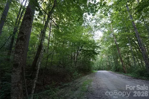 0 S Poplar 162 Dr #162, Lake Lure, NC 28746
