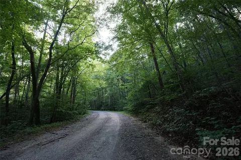 0 S Poplar 162 Dr #162, Lake Lure, NC 28746