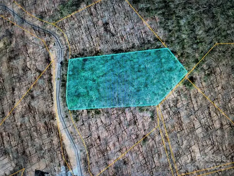 Serpentine Lot 70 Drive LOT 70, Columbus, NC 28722