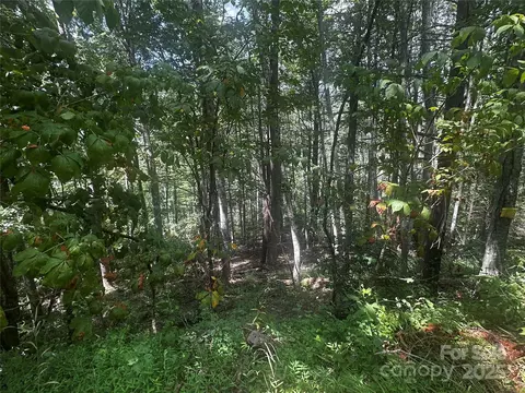 00 Rabbit Hop Rd, Spruce Pine, NC 28777