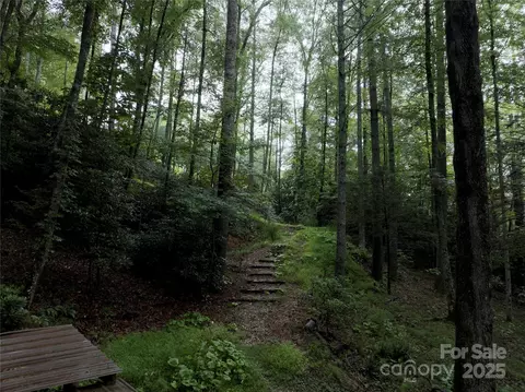 191 Pack Dr, Spruce Pine, NC 28777 photo 2