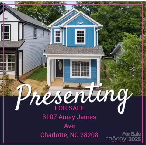 3107 Amay James Ave, Charlotte, NC 28208