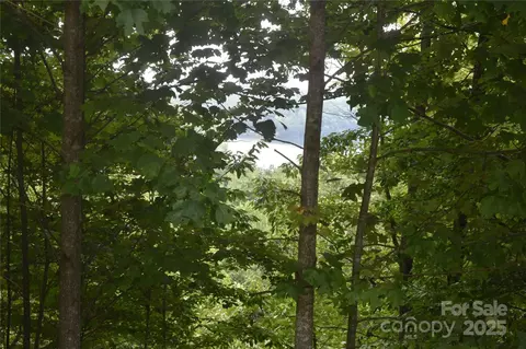 129 Captains 221 Dr #221, Nebo, NC 28761
