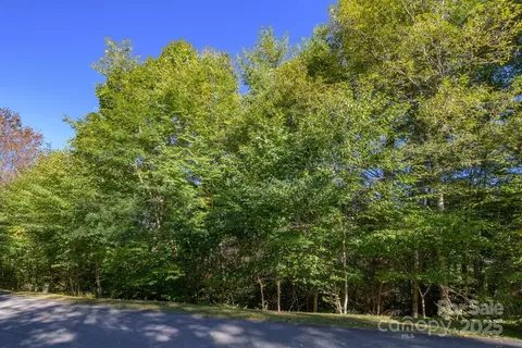 White Fox Lane, Banner Elk, NC 28604