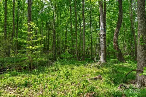 0000 Green Rd, Lancaster, SC 29720 photo 5