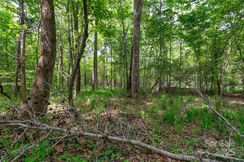 0000 Green Rd, Lancaster, SC 29720 photo 20