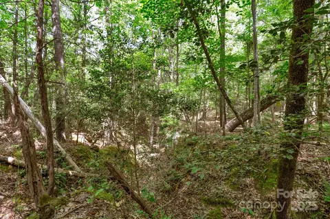 0000 Green Rd, Lancaster, SC 29720 photo 32
