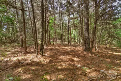0000 Green Rd, Lancaster, SC 29720 photo 30