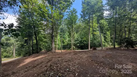 00 Apple Tree 1 Ct #1, Waynesville, NC 28786