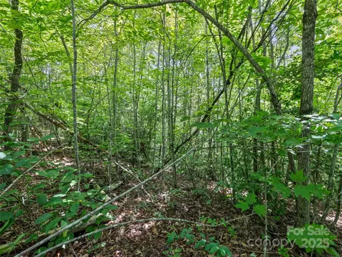 Hazel Hollow Drive, Sylva, NC 28779 photo 10