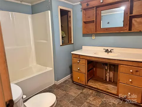 Bath - 246 Thunderhill Dr, Marion, NC 28752 photo 1 of 1