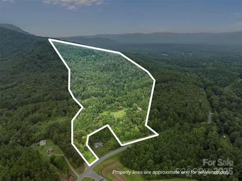 823 Silver Creek Rd, Mill Spring, NC 28756 photo 16