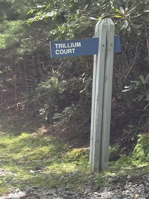 000 Trillium 37 Ct #37, Sapphire, NC 28774