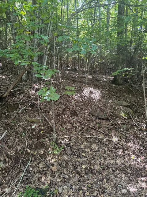 000 Wild Cherry 187 Dr #187, Mills River, NC 28759