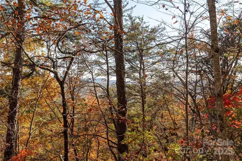 2355 Round Mountain Rd, Brevard, NC 28712 photo 23