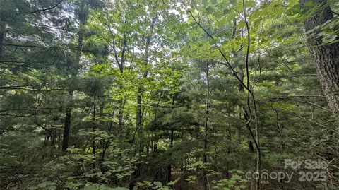 00 Pinewood Dr, Waynesville, NC 28786