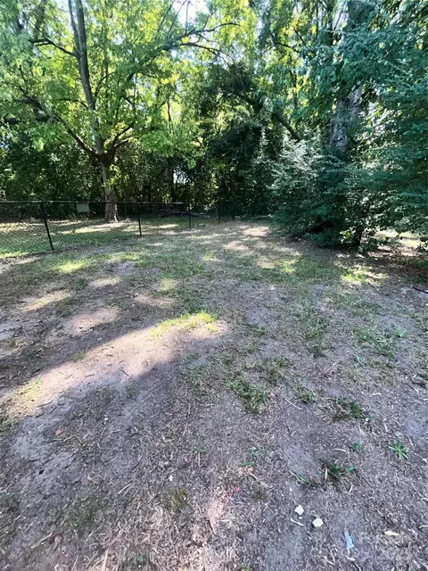 Exterior - 236 Legrand St, Cheraw, SC 29520 photo 6 of 7