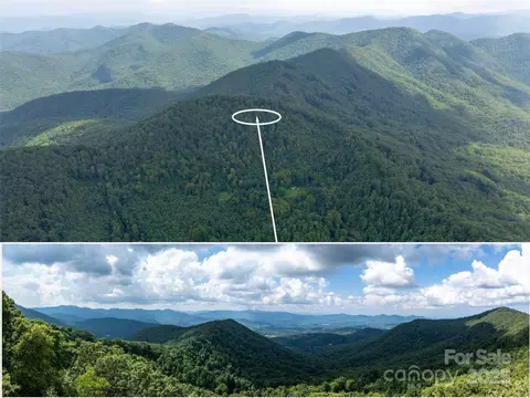 99999 Billy Cove Rd, Candler, NC 28715