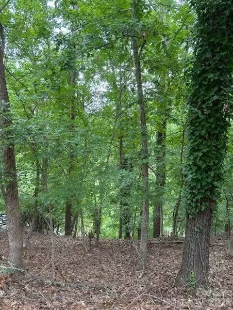 10045 Tepa Pl, Tega Cay, SC 29708