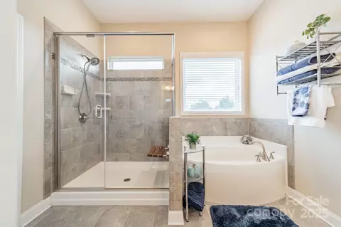 3419 Streamside 463 Dr #463, Davidson, NC 28036 photo 19